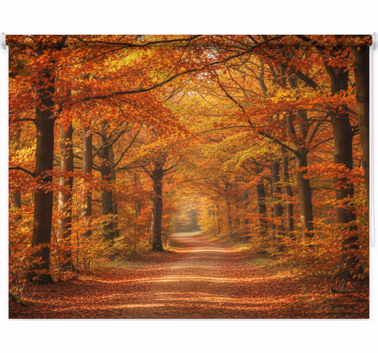 Estor enrollable árboles camino de Árboles en otoño - TenVinilo
