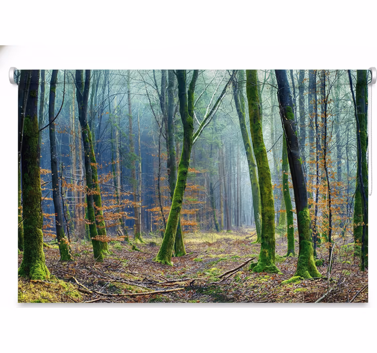 Estor enrollable árboles bosque nublado japandi - TenVinilo