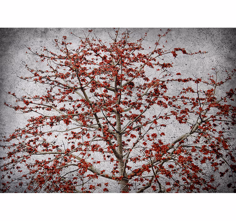 Estor enrollable cocina árbol minimalista con flores rojas - TenVinilo
