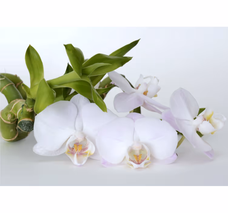 Estor enrollable blanco orquídea verde blanca - TenVinilo