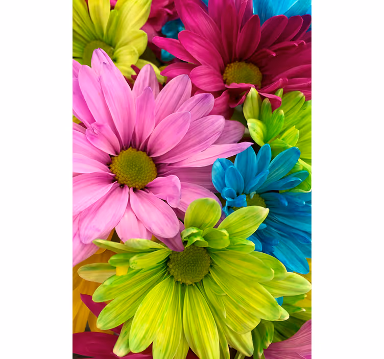 Estor enrollable salón flores coloridas - TenVinilo