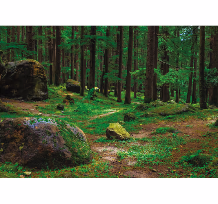 Estor enrollable salón bosque verde con árboles - TenVinilo