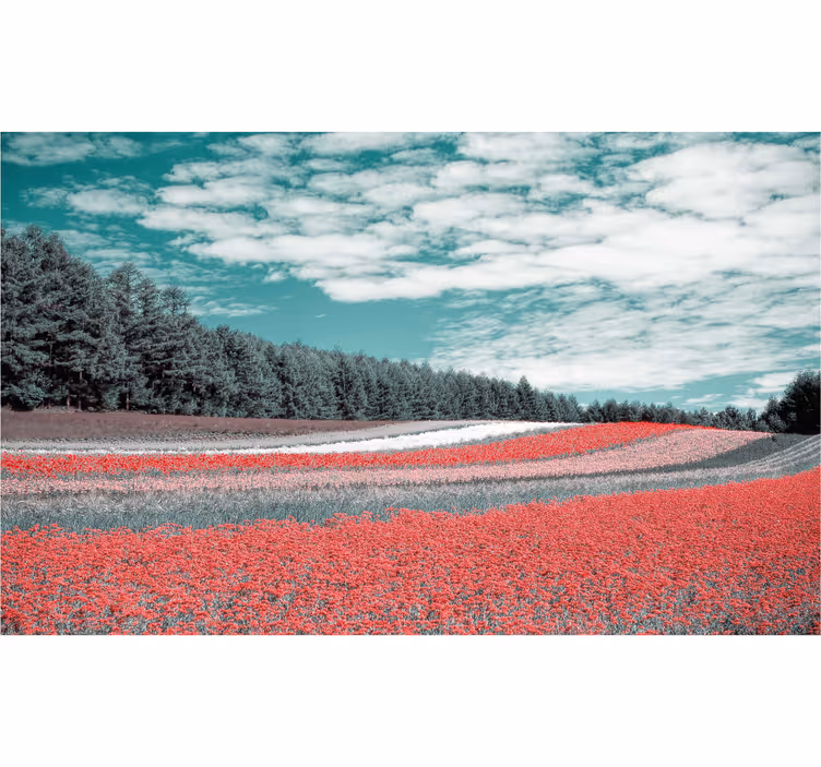 Estor enrollable salón campo de flores diferente - TenVinilo