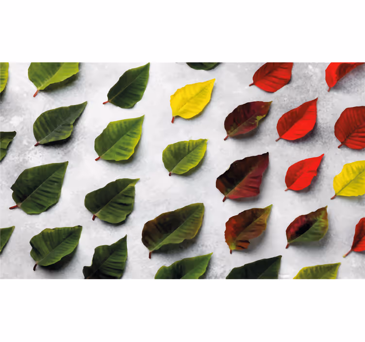 Estor enrollable salón hojas coloridas desde arriba - TenVinilo