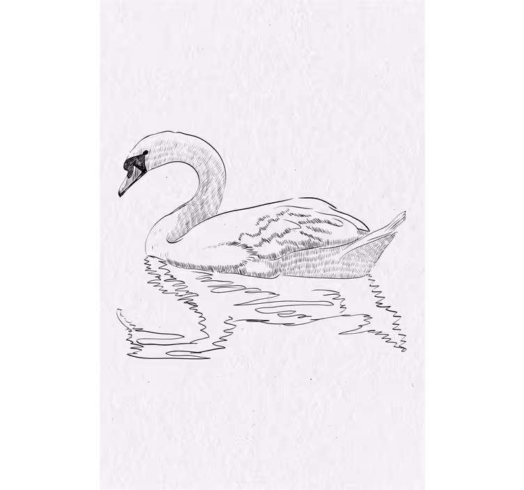 Estor enrollable salón boceto de cisne - TenVinilo