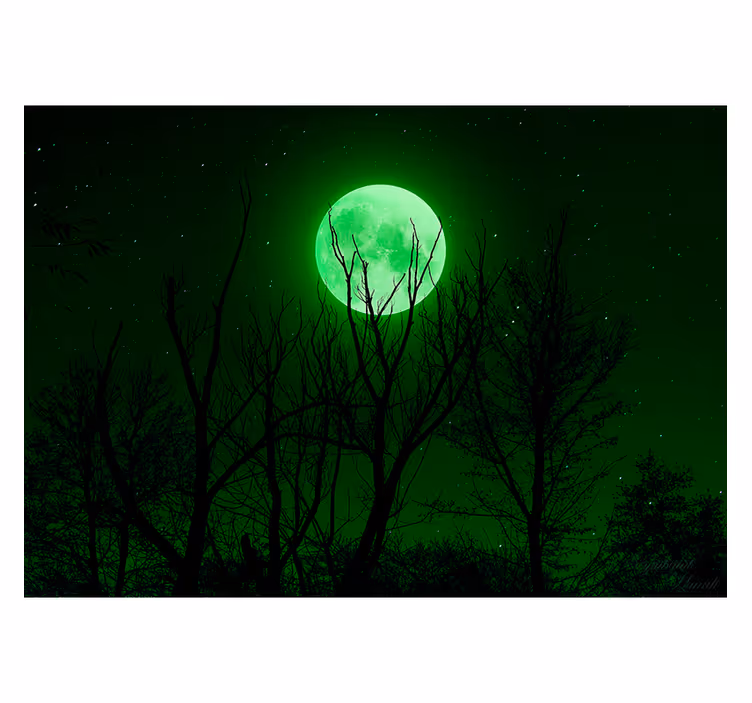 Estor enrollable negro luna verde - TenVinilo