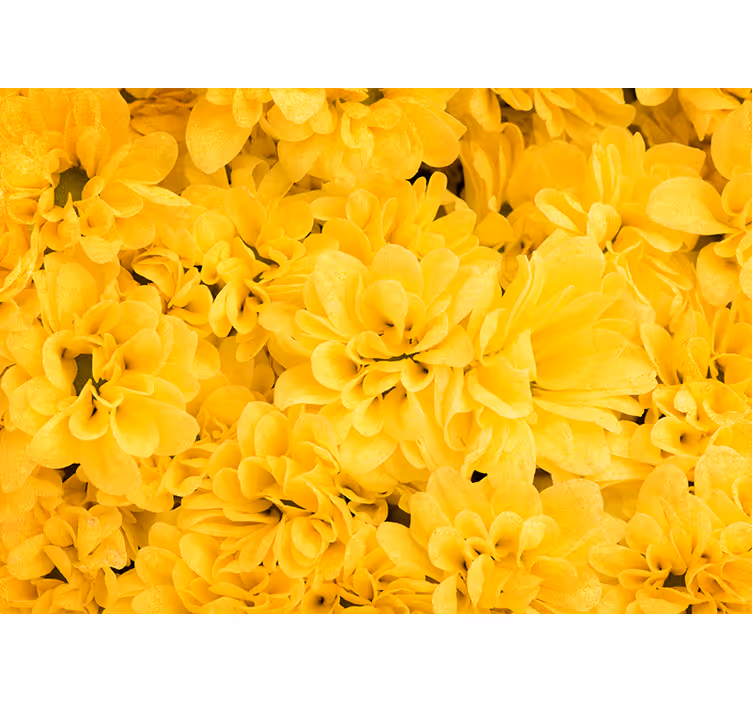 Estor enrollable amarillo pétalos de flores - TenVinilo