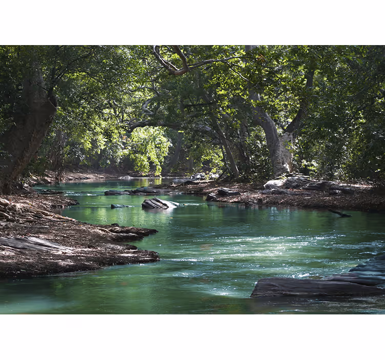 Estor enrollable salón bosque y río - TenVinilo