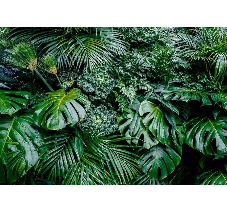 Estor enrollable verde selva lluviosa - TenVinilo