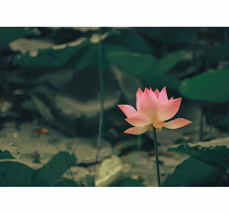Estor enrollable verde flor rosa - TenVinilo