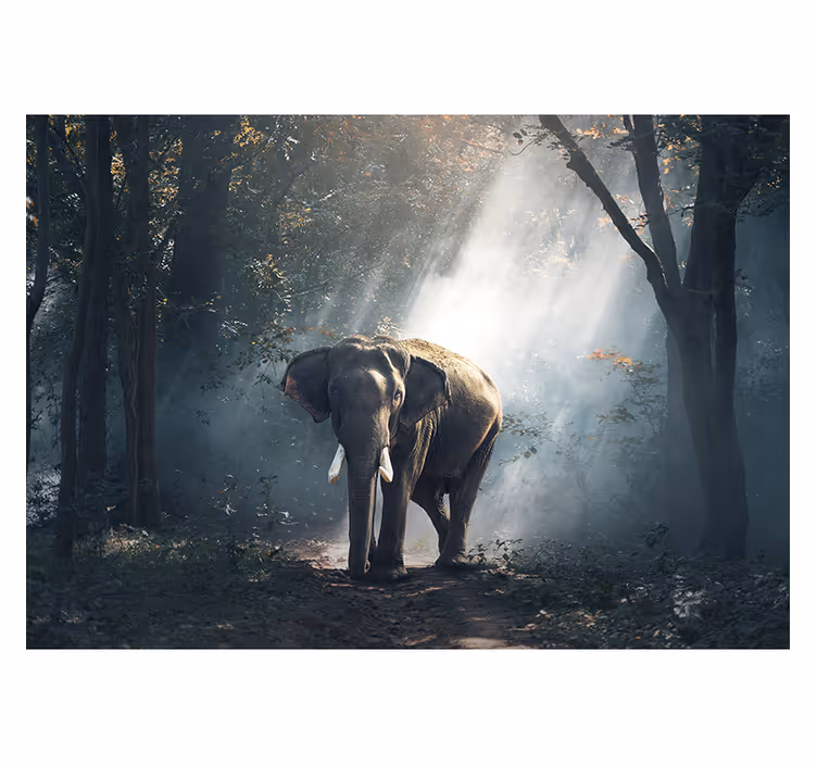 Estor enrollable salón elefante en el bosque - TenVinilo
