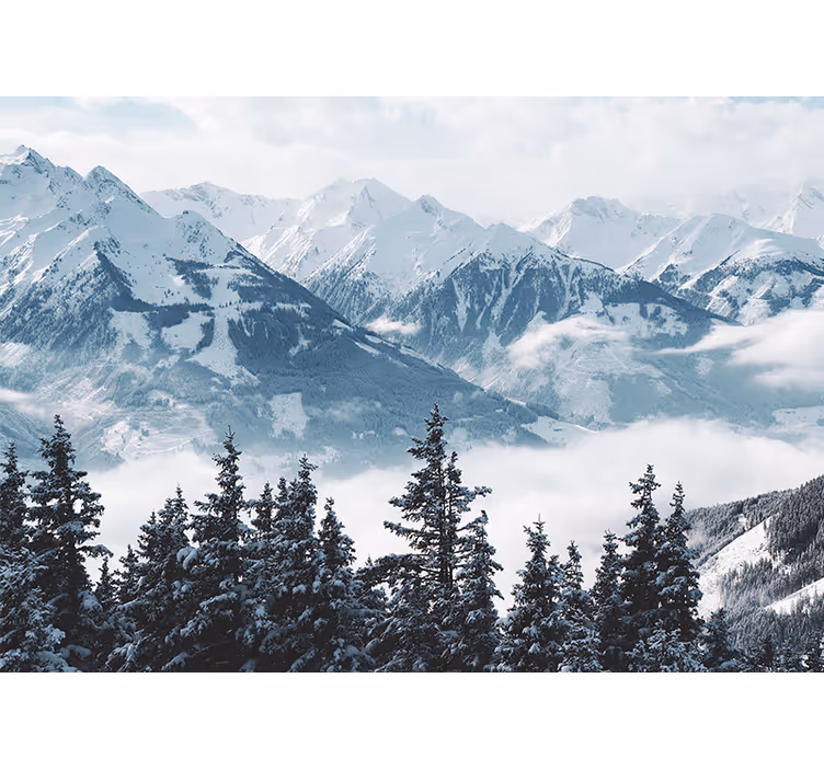 Estor enrollable salón montañas nevadas y árboles - TenVinilo
