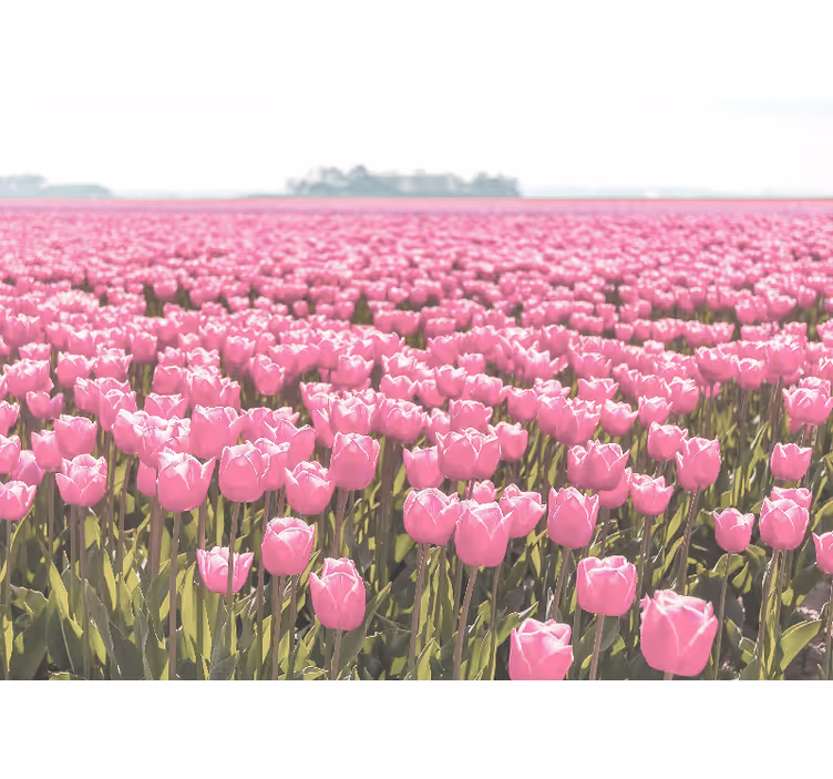 Estor enrollable salón campo de tulipanes rosas - TenVinilo