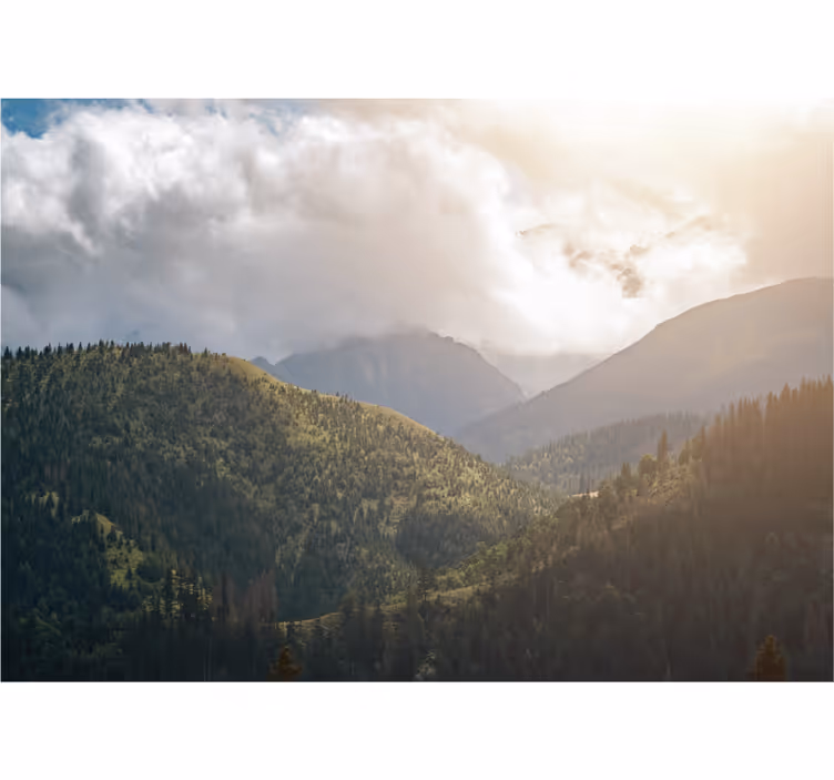 Estor enrollable salón parque nacional de los tatras - TenVinilo