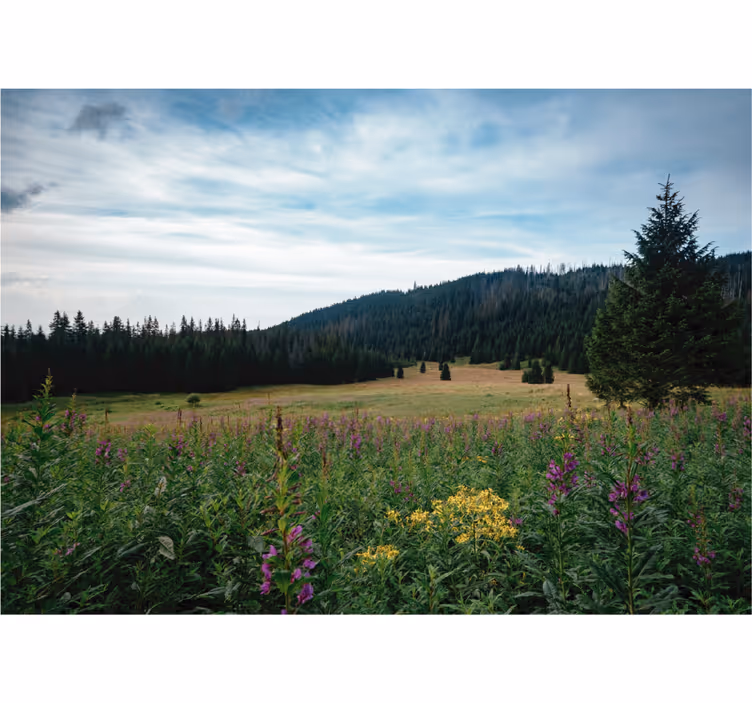 Estor enrollable salón parque tatra en primavera - TenVinilo