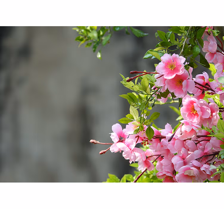 Estor enrollable salón flores rosas 3d - TenVinilo