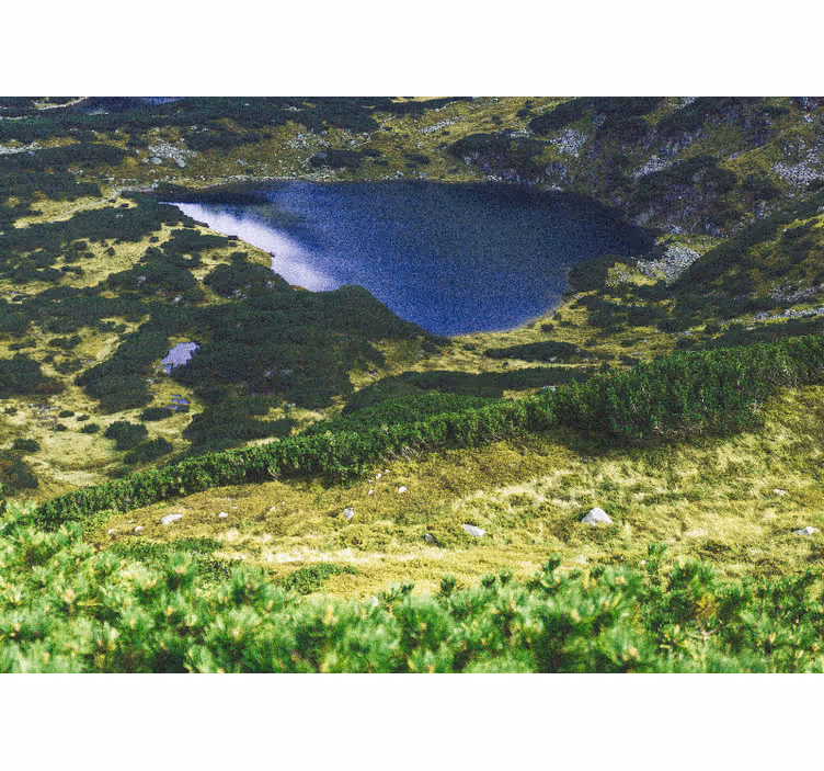 Estor enrollable salón verde tatras polacos - TenVinilo