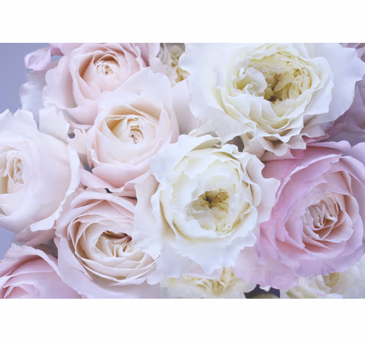 Estor enrollable salón rosas diferentes en primer plano - TenVinilo