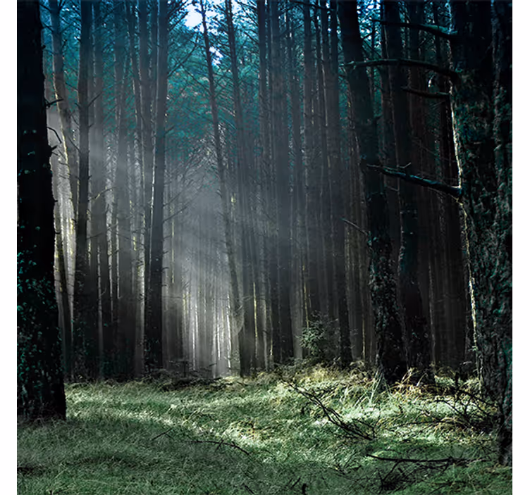 Estor enrollable salón bosque de niebla azul - TenVinilo