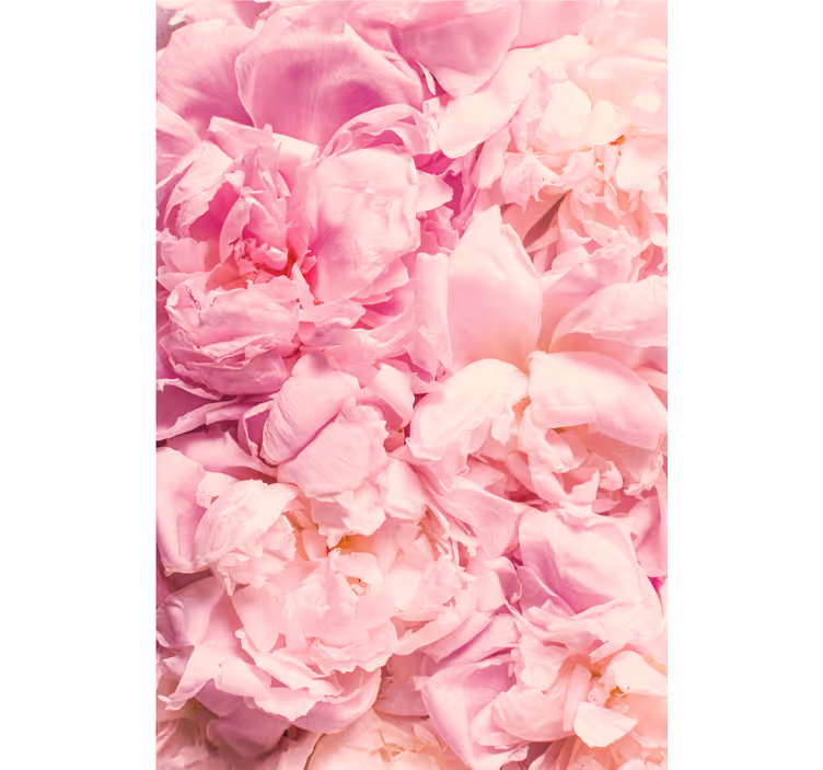 Estor enrollable habitación flores de peonía rosa realista - TenVinilo