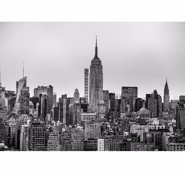Estor enrollable salón imagen de nueva york en blanco y negro - TenVinilo