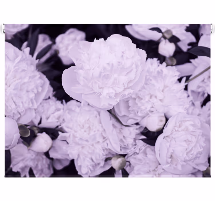 Estor enrollable salón elegantes peonías rosas femeninas - TenVinilo