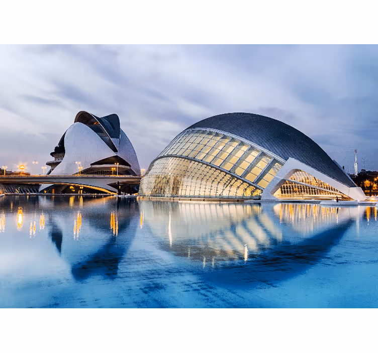 Estor enrollable habitación ciudad de las artes y las ciencias - TenVinilo