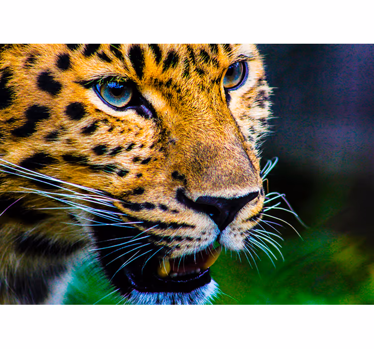 Estor enrollable habitación cara de leopardo - TenVinilo