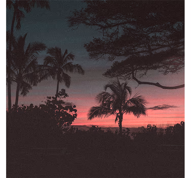 Estor enrollable salón árboles cielo rosa atardecer - TenVinilo