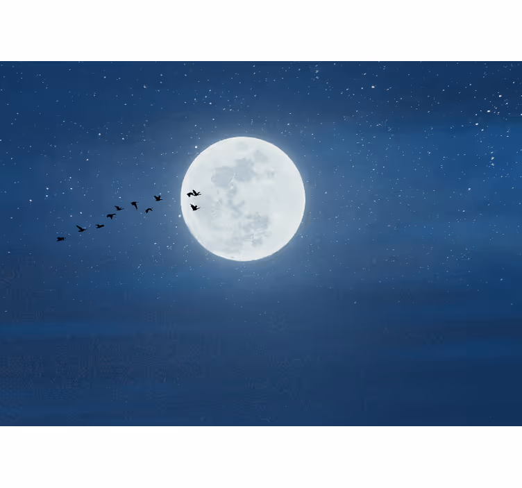 Estor enrollable salón luna llena y cielo - TenVinilo