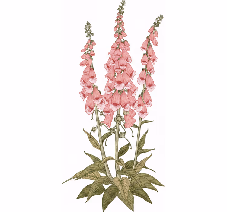 Estor enrollable salón flores rosas - TenVinilo