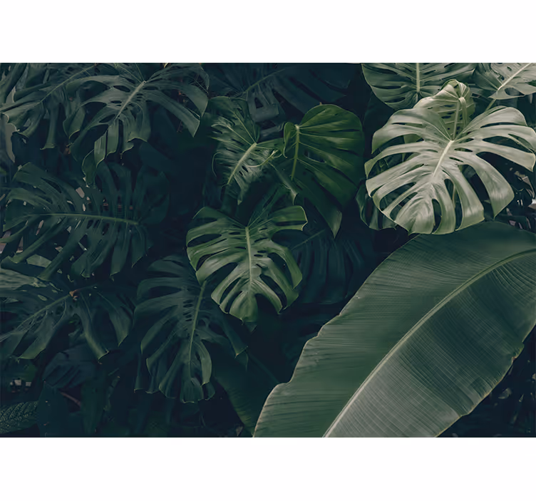 Estor enrollable habitación selva verde hermosa - TenVinilo