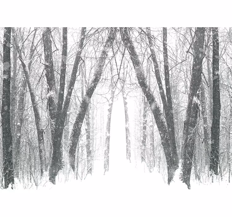 Estor enrollable habitación Árboles de invierno en el bosque - TenVinilo