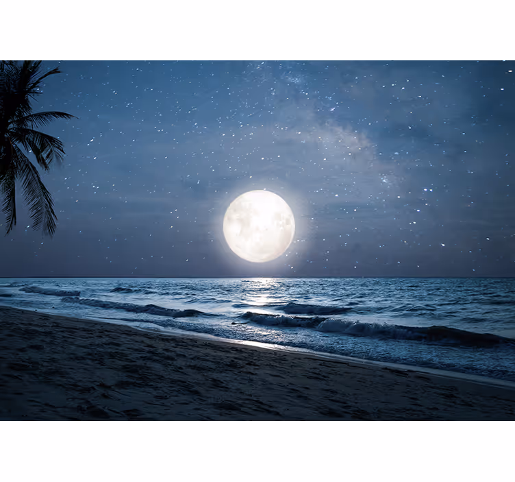 Estor enrollable habitación luz de luna sobre el mar - TenVinilo