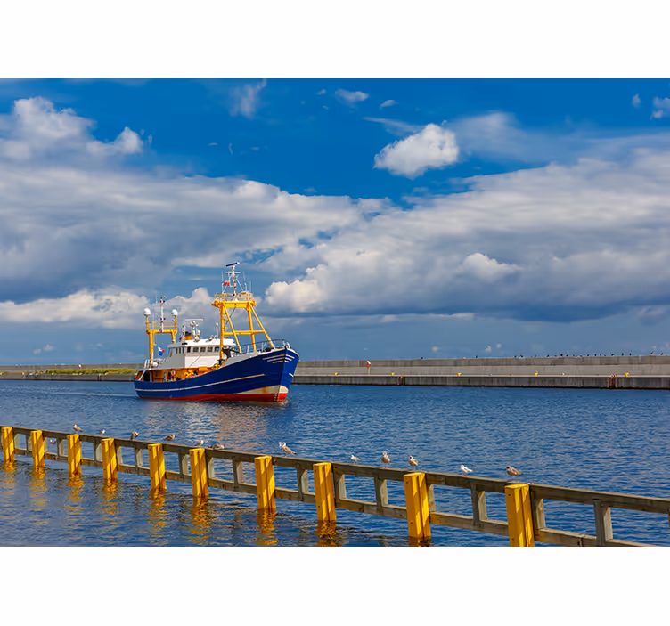 Estor enrollable habitación barco gdynia - TenVinilo