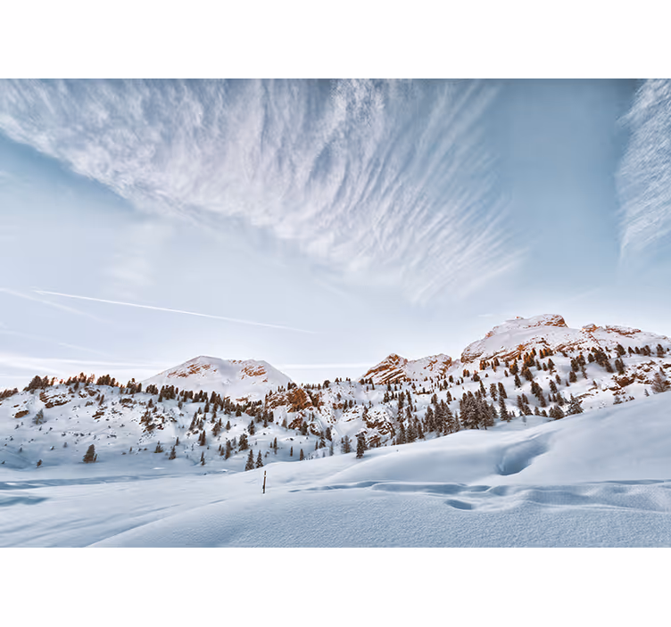 Estor enrollable blanco montañas con nieve - TenVinilo
