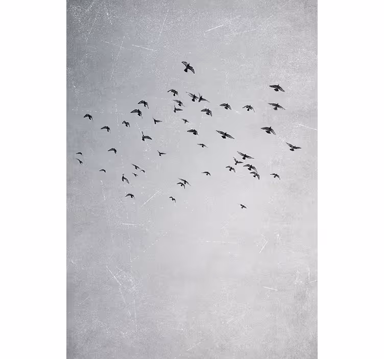 Estor enrollable habitación aves volando - TenVinilo