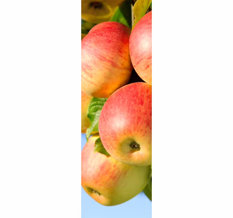 Estor enrollable cocina vinilo decorativo manzanas árbol - TenVinilo