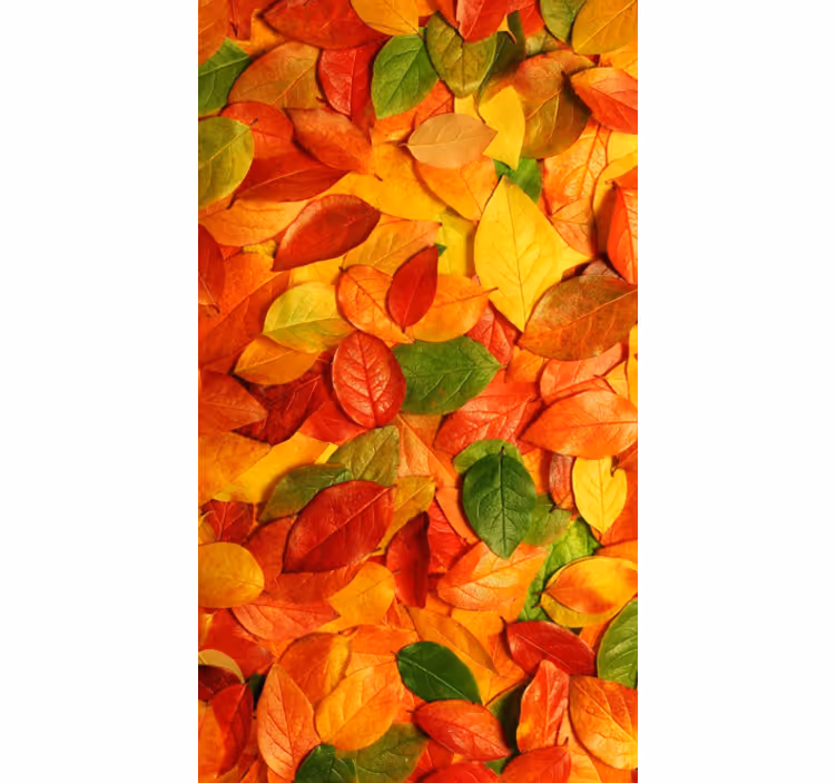 Estor enrollable cocina vinilo decorativo hojas otoño - TenVinilo