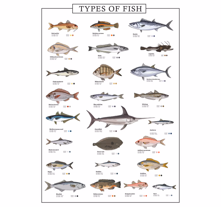 Estor enrollable cocina peces - TenVinilo