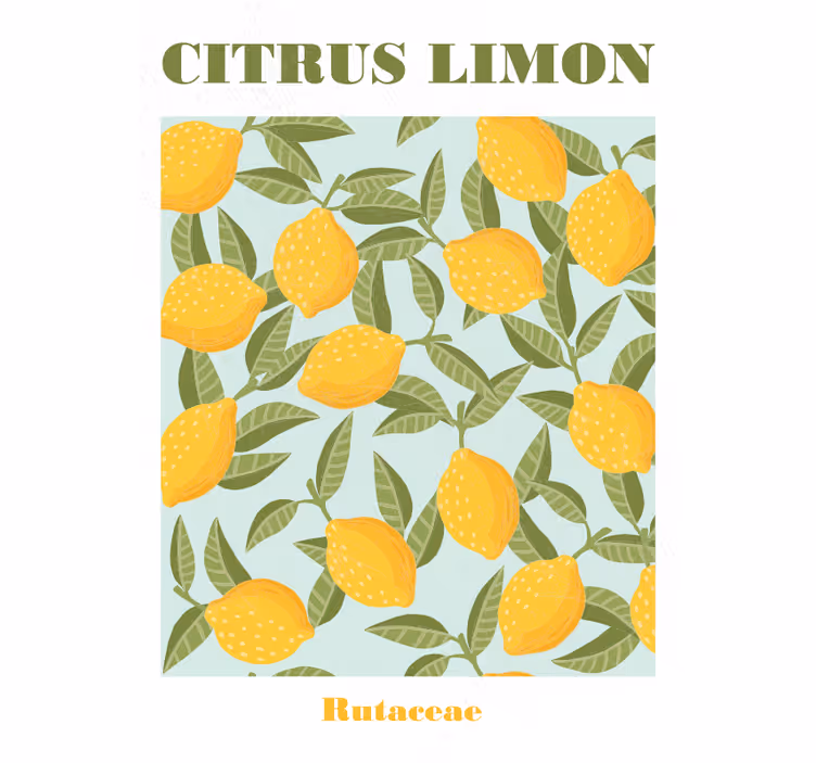 Estor enrollable cocina limón - TenVinilo