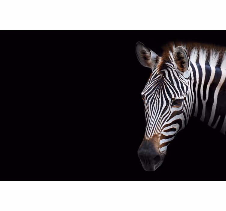 Estor enrollable negro zebra imagen - TenVinilo