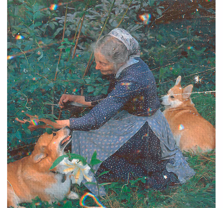 Estor enrollable salón abuela con perros jardín cottagecore - TenVinilo