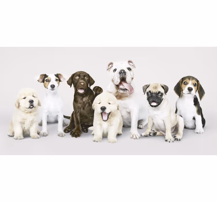 Estor enrollable animales fotografía de cachorros - TenVinilo