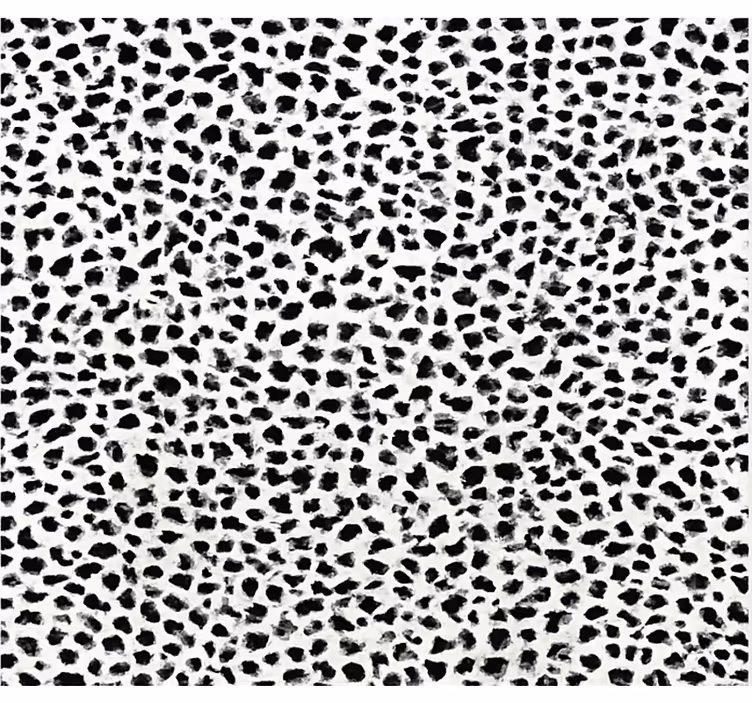 Estor enrollable negro estampado de leopardo monocromo - TenVinilo