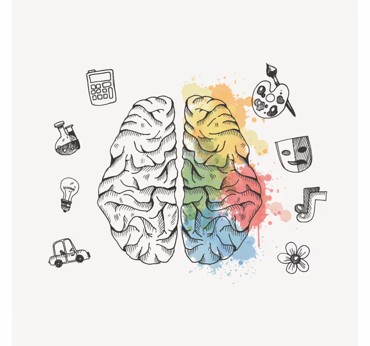 Estores enrollable oficina cerebro izquierdo y derecho - TenVinilo