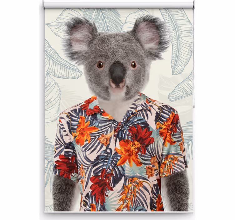 Estor enrollable juvenil koala elegante - TenVinilo