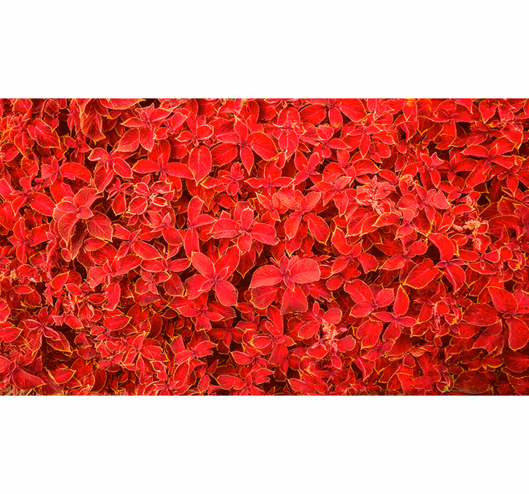 Estor enrollable rojo con patrón de pétalos - TenVinilo