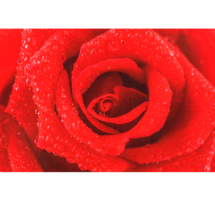 Estor enrollable rojo flor de rosa - TenVinilo