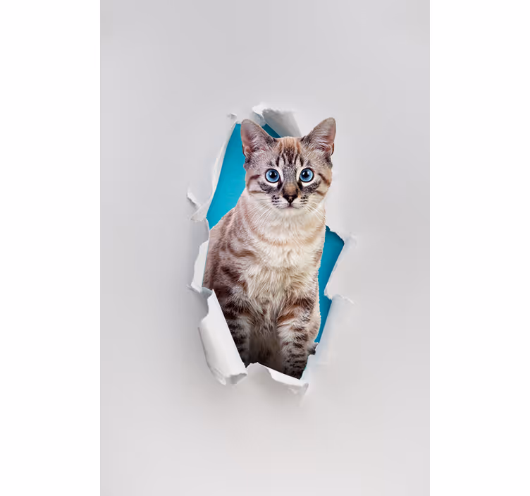 Estor enrollable cocina moderna animales efecto 3D gato - TenVinilo